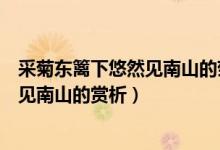 采菊東籬下悠然見(jiàn)南山的菊的意象是什么（采菊東籬下悠然見(jiàn)南山的賞析）