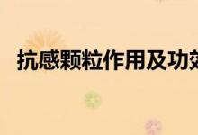 抗感顆粒作用及功效（抗感顆粒是什么藥）