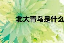 北大青鳥是什么學校（是什么文憑）