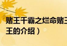 賭王千霸之爛命賭王（關(guān)于賭王千霸之爛命賭王的介紹）