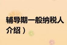 輔導期一般納稅人（關于輔導期一般納稅人的介紹）