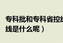 ?？婆蛯？剖】鼐€是什么意思（?？婆】鼐€是什么呢）