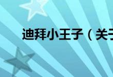 迪拜小王子（關(guān)于迪拜小王子的介紹）