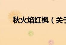 秋火焰紅楓（關(guān)于秋火焰紅楓的介紹）