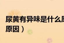 尿黃有異味是什么原因男（尿黃有異味是什么原因）