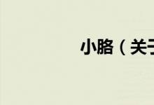 小胳（關(guān)于小胳的介紹）