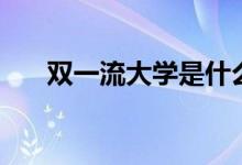 雙一流大學是什么意思（意味著什么）