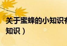 關(guān)于蜜蜂的小知識(shí)有哪些（盤點(diǎn)關(guān)于蜜蜂的小知識(shí)）
