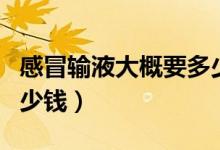 感冒輸液大概要多少錢(qián)（一般感冒醫(yī)院輸液多少錢(qián)）