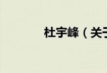 杜宇峰（關于杜宇峰的介紹）