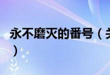 永不磨滅的番號（關(guān)于永不磨滅的番號的介紹）