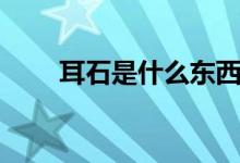 耳石是什么東西圖解（耳石是什么）