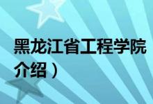 黑龍江省工程學院（關于黑龍江省工程學院的介紹）