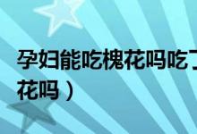 孕婦能吃槐花嗎吃了有什么好處（孕婦能吃槐花嗎）