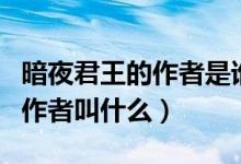 暗夜君王的作者是誰誰告訴我?。ò狄咕醯淖髡呓惺裁矗?class=