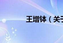 王增缽（關(guān)于王增缽的介紹）