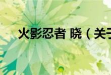 火影忍者 曉（關(guān)于火影忍者 曉的介紹）