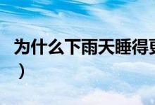 為什么下雨天睡得更香（下雨天睡得更香原因）