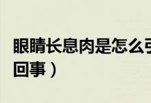 眼睛長息肉是怎么引起的（眼睛長息肉是怎么回事）
