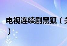 電視連續(xù)劇黑狐（關(guān)于電視連續(xù)劇黑狐的介紹）