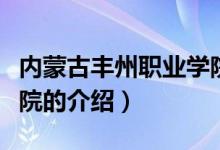 內(nèi)蒙古豐州職業(yè)學(xué)院(關(guān)于內(nèi)蒙古豐州職業(yè)學(xué)院的介紹)