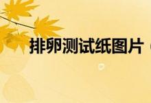 排卵測試紙圖片（排卵測試紙怎么用）