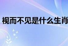 視而不見是什么生肖（視而不見是哪個生肖）
