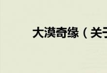 大漠奇緣（關(guān)于大漠奇緣的介紹）