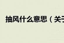 抽風(fēng)什么意思（關(guān)于抽風(fēng)什么意思的介紹）