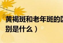 黃褐斑和老年斑的區(qū)別(黃褐斑和老年斑的區(qū)別是什么)