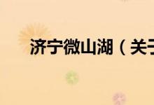 濟(jì)寧微山湖（關(guān)于濟(jì)寧微山湖的介紹）