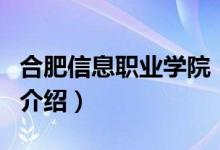 合肥信息職業(yè)學(xué)院（關(guān)于合肥信息職業(yè)學(xué)院的介紹）