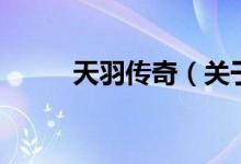 天羽傳奇（關(guān)于天羽傳奇的介紹）