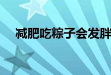 減肥吃粽子會(huì)發(fā)胖嗎（吃粽子會(huì)發(fā)胖嗎）