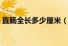 直腸全長多少厘米（直腸長度約為多少厘米）