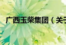 廣西玉柴集團（關于廣西玉柴集團的介紹）