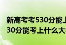 新高考考530分能上什么大學(xué)（2022年高考530分能考上什么大學(xué)）