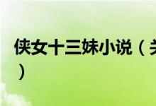 俠女十三妹小說(shuō)（關(guān)于俠女十三妹小說(shuō)的介紹）