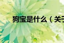 狗寶是什么（關(guān)于狗寶是什么的介紹）