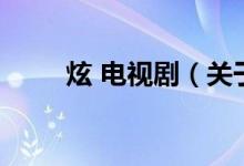 炫 電視?。P(guān)于炫 電視劇的介紹）