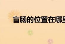 盲腸的位置在哪里圖片（盲腸的位置）