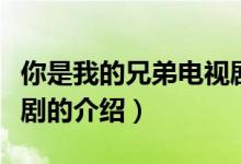 你是我的兄弟電視?。P于你是我的兄弟電視劇的介紹）