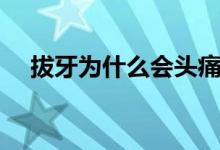 拔牙為什么會(huì)頭痛（拔牙為什么會(huì)死人）
