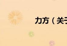 力方（關(guān)于力方的介紹）
