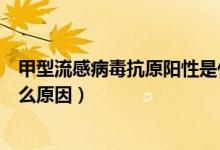 甲型流感病毒抗原陽性是什么（甲型流感病毒抗原陽性是什么原因）