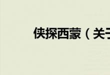 俠探西蒙（關(guān)于俠探西蒙的介紹）