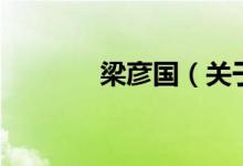 梁彥國（關(guān)于梁彥國的介紹）