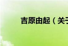 吉原由起（關(guān)于吉原由起的介紹）