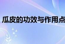 瓜皮的功效與作用點(東瓜皮的功效與作用)