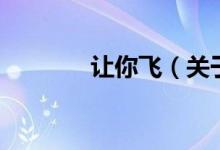 讓你飛（關(guān)于讓你飛的介紹）